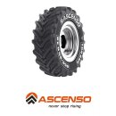 Ascenso TDR 650 540/65 R38 153D