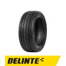 Delinte WD1 165/70 TR14 81T