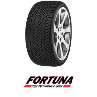 Fortuna EcoPlus 2 VAN 4S 205/65 R15C 102/100T