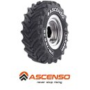 Ascenso XLR880 R-1W HD 600/70 R30 152D